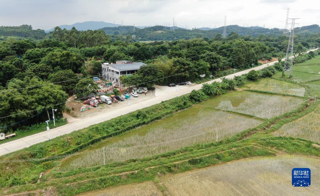 ea真人登录